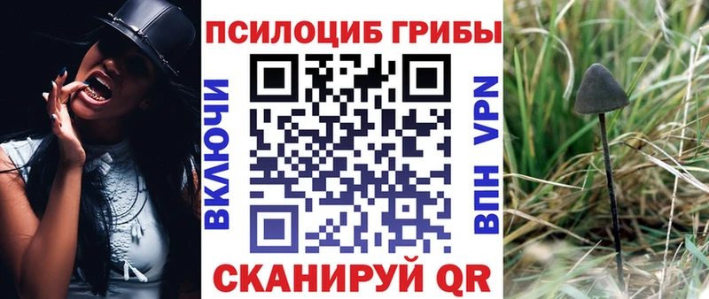 Купить  Рыльск  Галлюциногенные грибы Psilocybine cubensis 